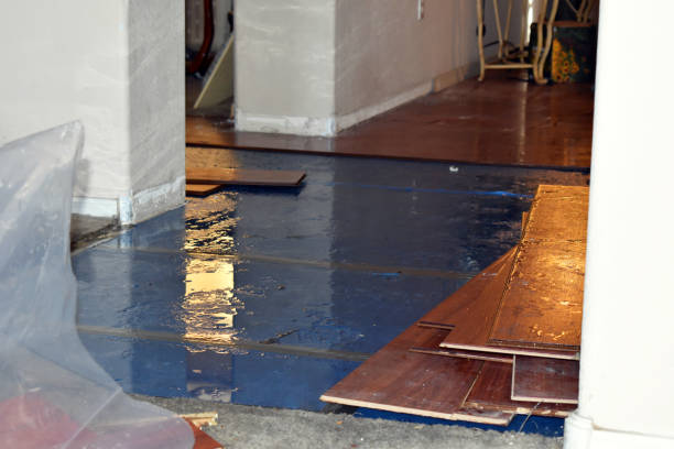 Professional Basement Water Removal technician working in Collins, OH