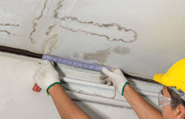Reliable Basement Water Removal contractor in Collins, OH by Water Damage Irwin